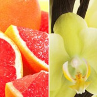 Vanilla & Grapefruit