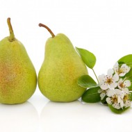 English Pear & Freesia