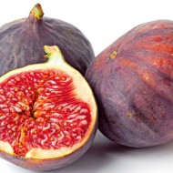 Fig Tree